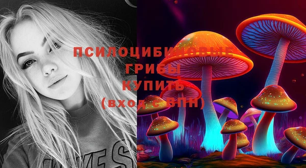 шишки Алексин
