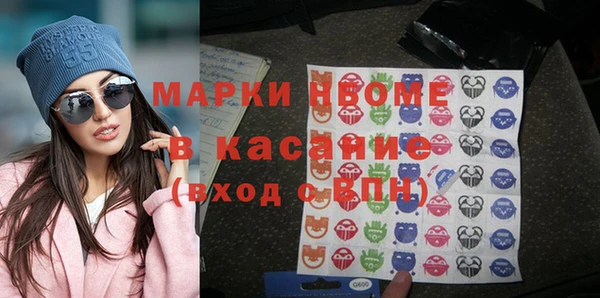 прущие грибы Лабытнанги